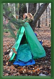 Survival (3) * 3264 x 4928 * (8.59MB)